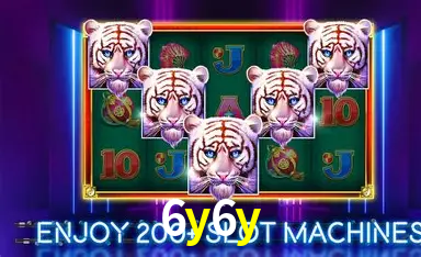 6y6y bet